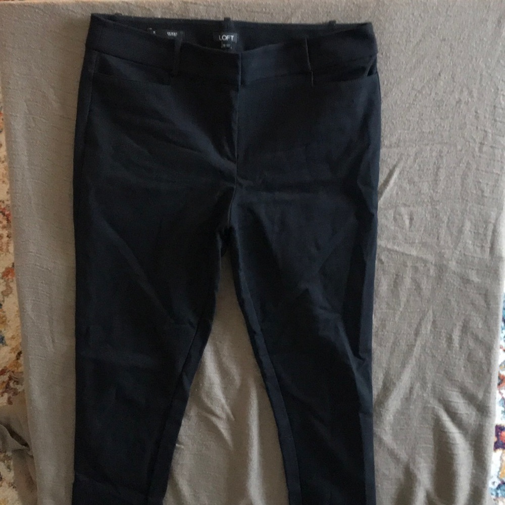 Brand new loft dress pants